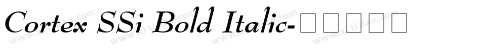 Cortex SSi Bold Italic字体转换